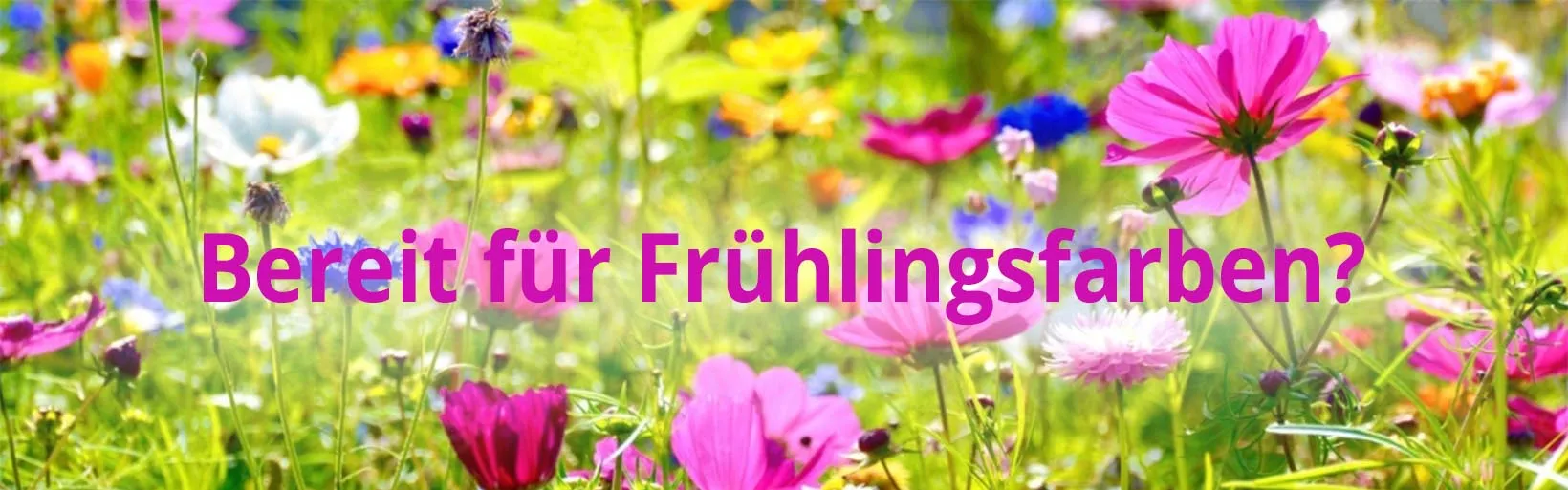 Frühling in Farbe